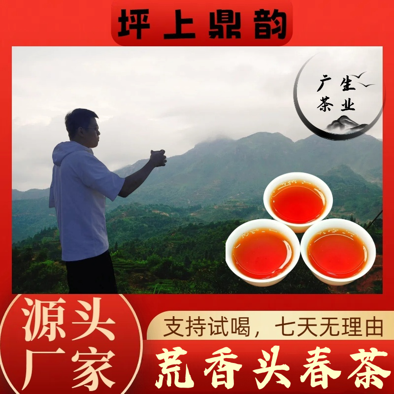 坪上炒茶 荒香头春茶 2025年明前采摘 花蜜香荒野韵 高级茶叶