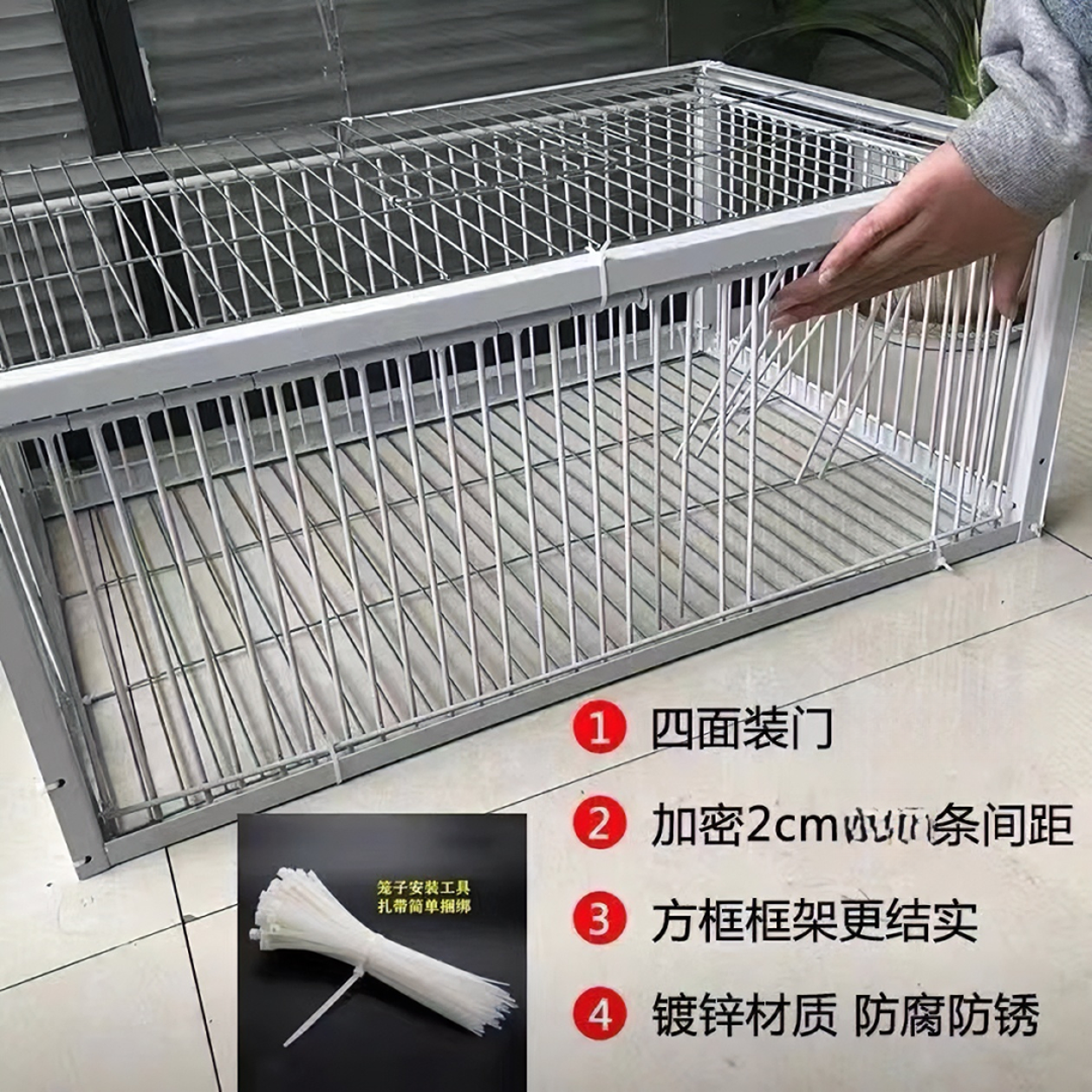 鸽笼鸽子笼家禽笼养殖家用自动鸽笼鸽子笼信鸽笼