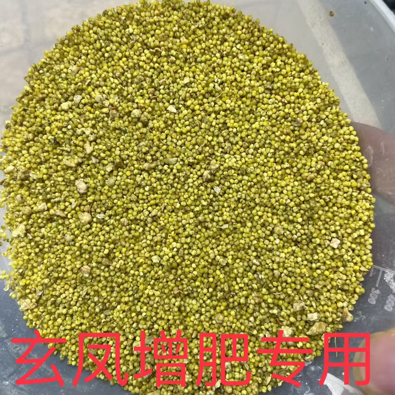 玄风大鸟专用营养蛋小米主播同款