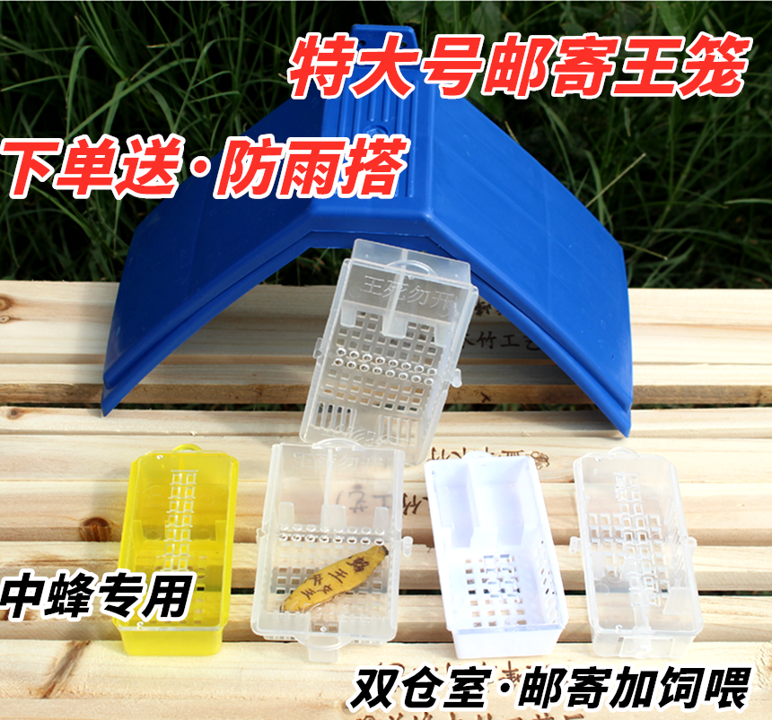 王笼邮寄蜂王专用多功能塑料囚王笼大号中意蜂养蜂工具蜂新式王笼