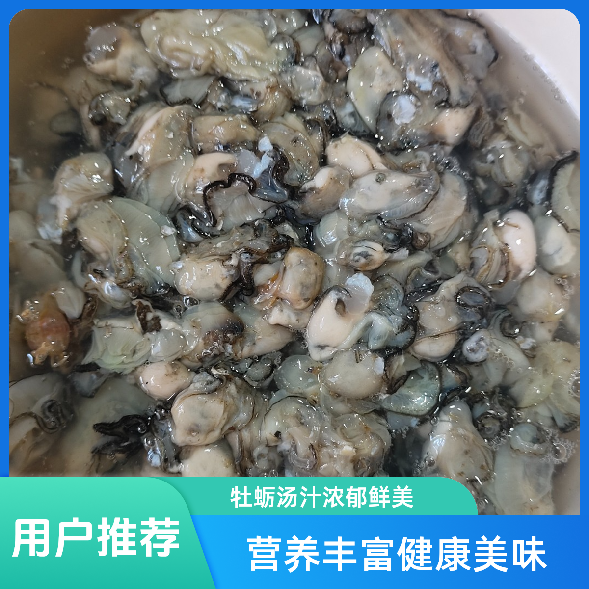 泉州特产石头海蛎新鲜现剥鲜活去壳黄海蛎肉牡蛎肉生蚝顺丰包邮