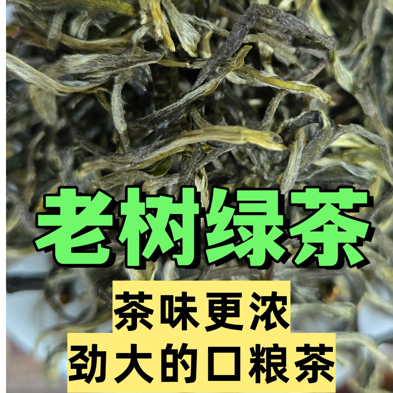 云南老树绿茶高山绿茶高级绿茶新茶叶普洱绿茶浓香型绿茶