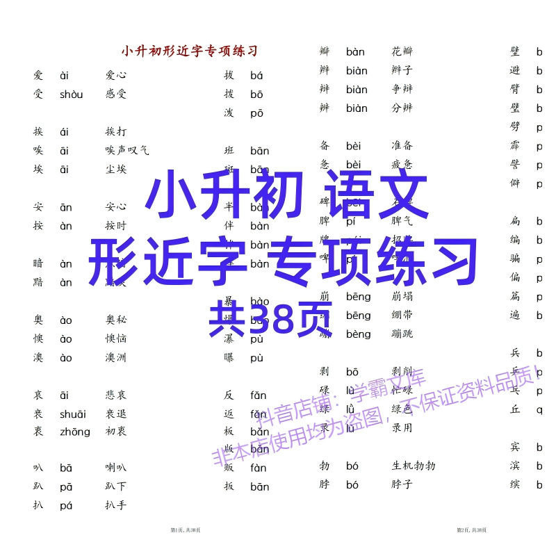c5小升初语文形近字专项练习电子版PDF