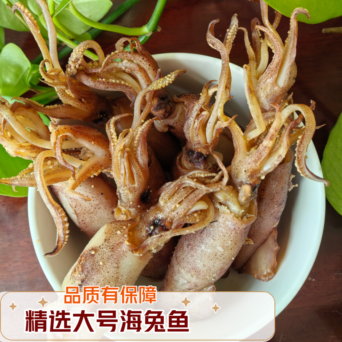 胶东特产大号海兔鱼干新晒笔管鱼干小鱿鱼干墨鱼干海鲜干货500g