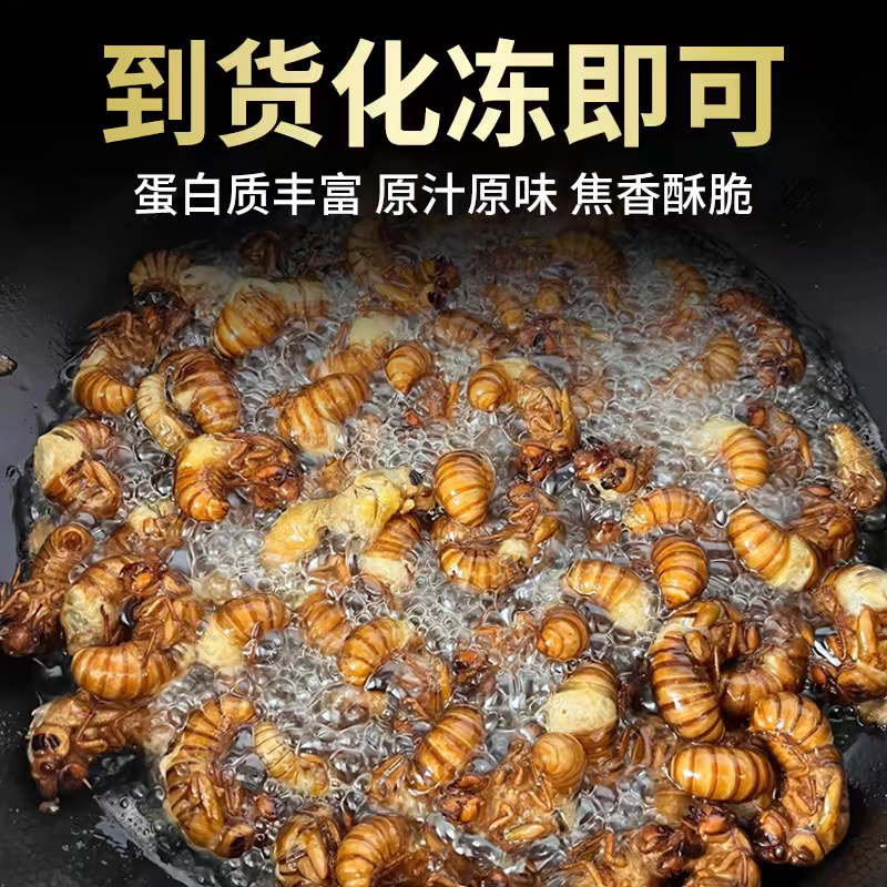 [大山小卒]知了竹蝉顺丰包邮现捡现发金蝉白蝉