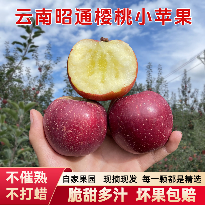 云南昭通冰糖心红富士丑苹果新鲜现摘脆甜多汁水果产地直发10