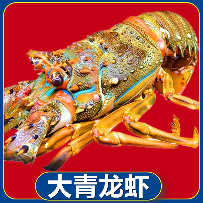 新鲜速冻小青龙10只虾水产小龙虾现冻青龙仔急冻小青龙一箱10只