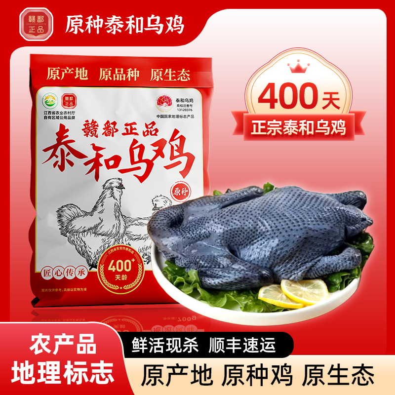赣鄱正品正宗泰和乌鸡乌骨鸡散养400天农家土鸡白羽鸡老母鸡顺丰