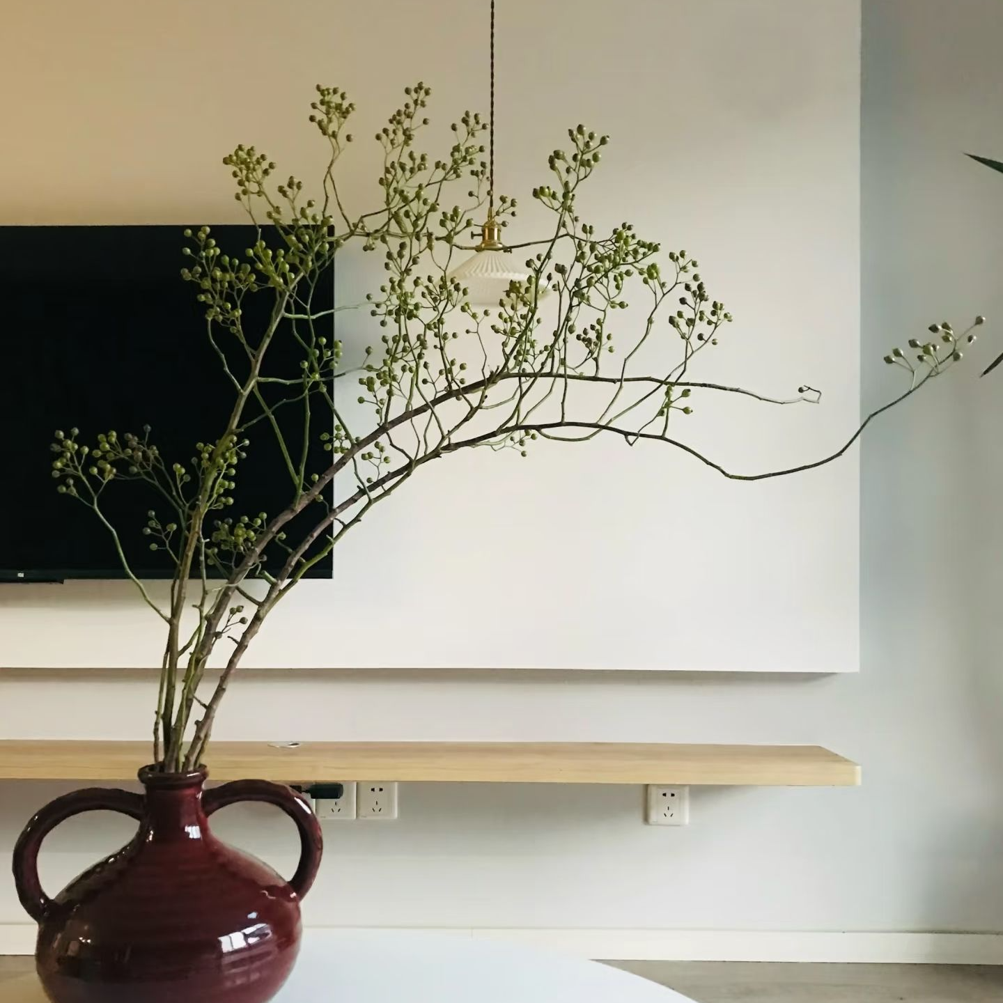 【花漾逸境】山东精品山归来蔷薇果鲜花高端氛围感水培文艺鲜切枝