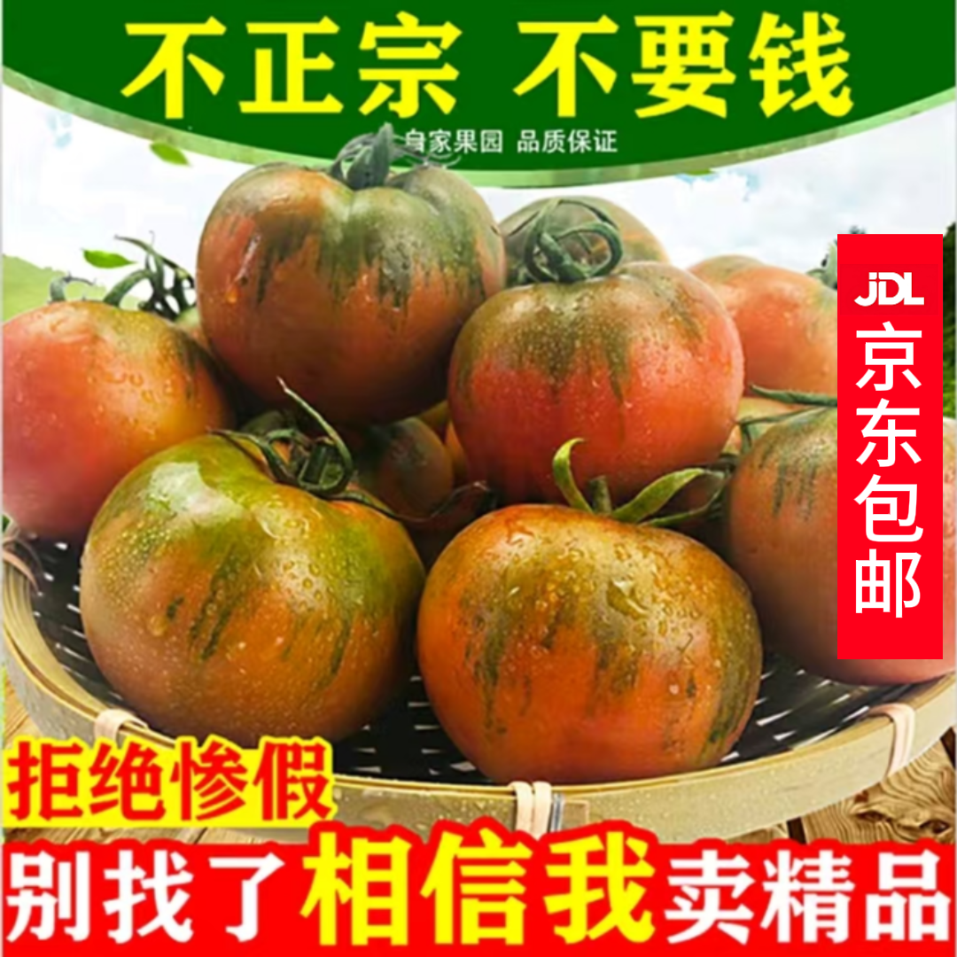 【京东快递】家庭装 盐碱地铁皮西红柿 自然熟草莓番茄小孩孕妇水果