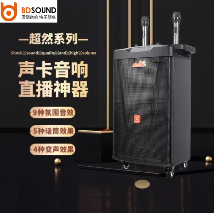 BD-H1236户外大功率广场舞音响网红直播声卡音响