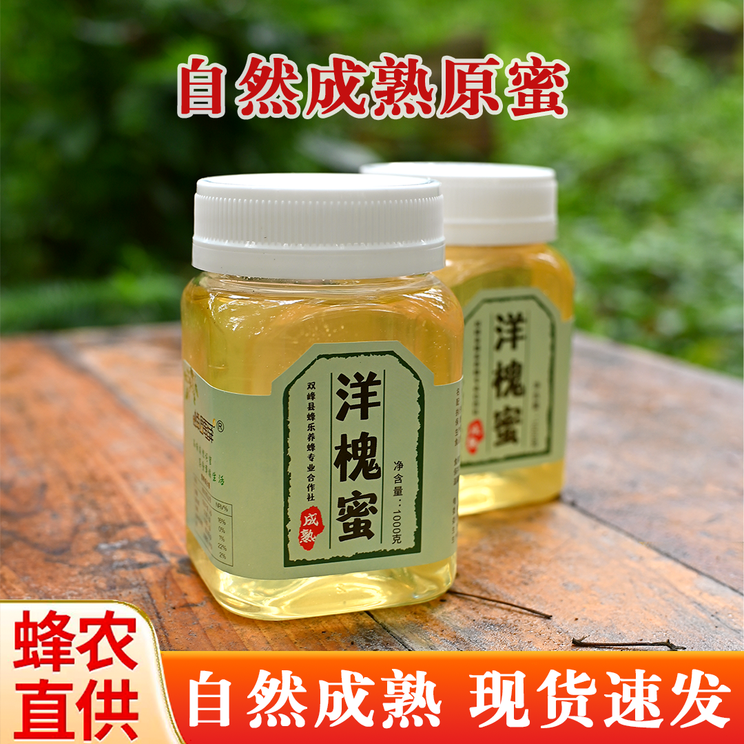 【蜂蜜姐姐】洋槐蜜 500g/瓶  蜂农自产直销成熟洋槐蜜深山洋槐蜜