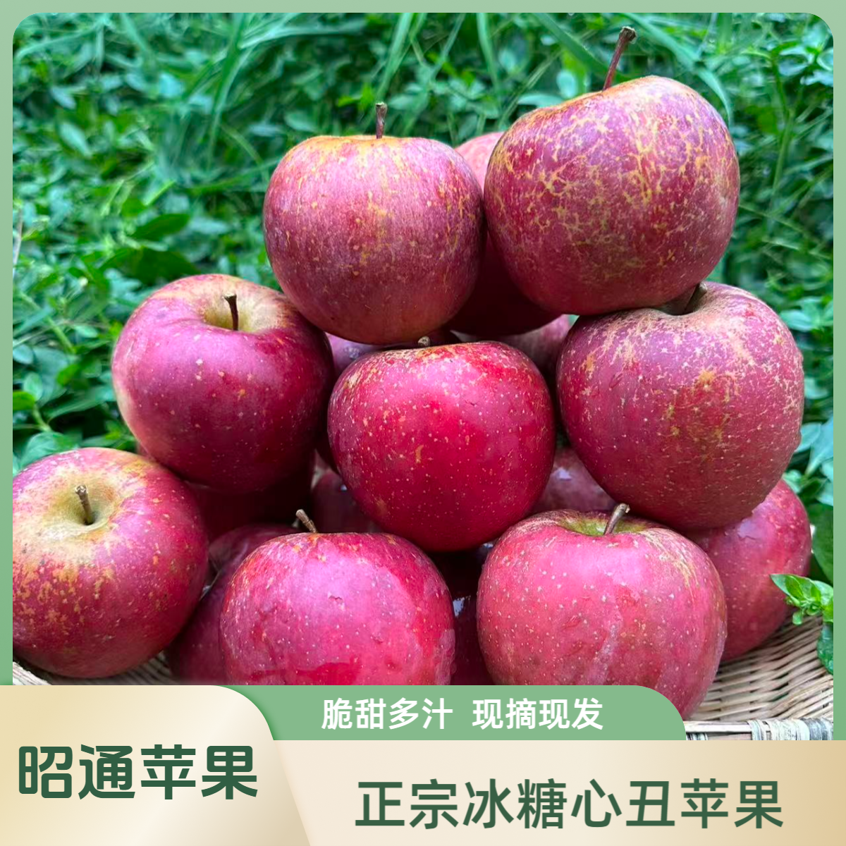 正宗云南昭通冰糖心丑苹果脆甜多汁新鲜当季水果果园现摘产地直发