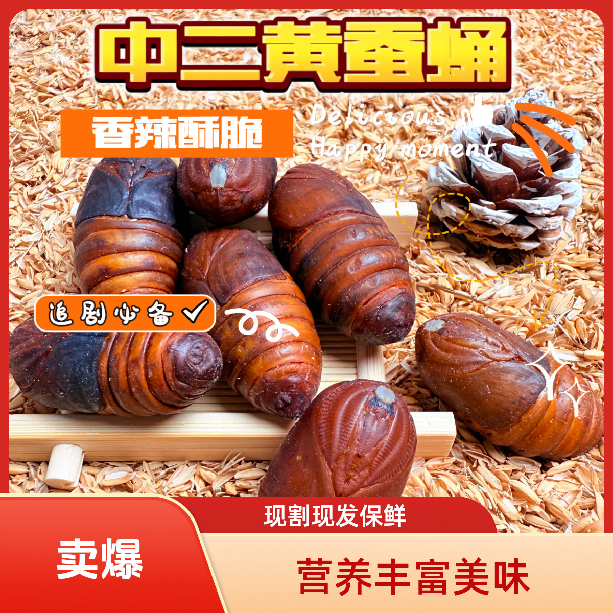 【中二黄】2025年东北中二黄蚕蛹现割现发保鲜保活蚕蛹鲜活雄蚕蛾
