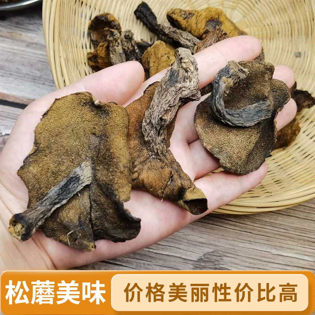 松蘑山东蛾子松树蘑菇烘干粘团子新鲜松菇炖鸡干货菌菇