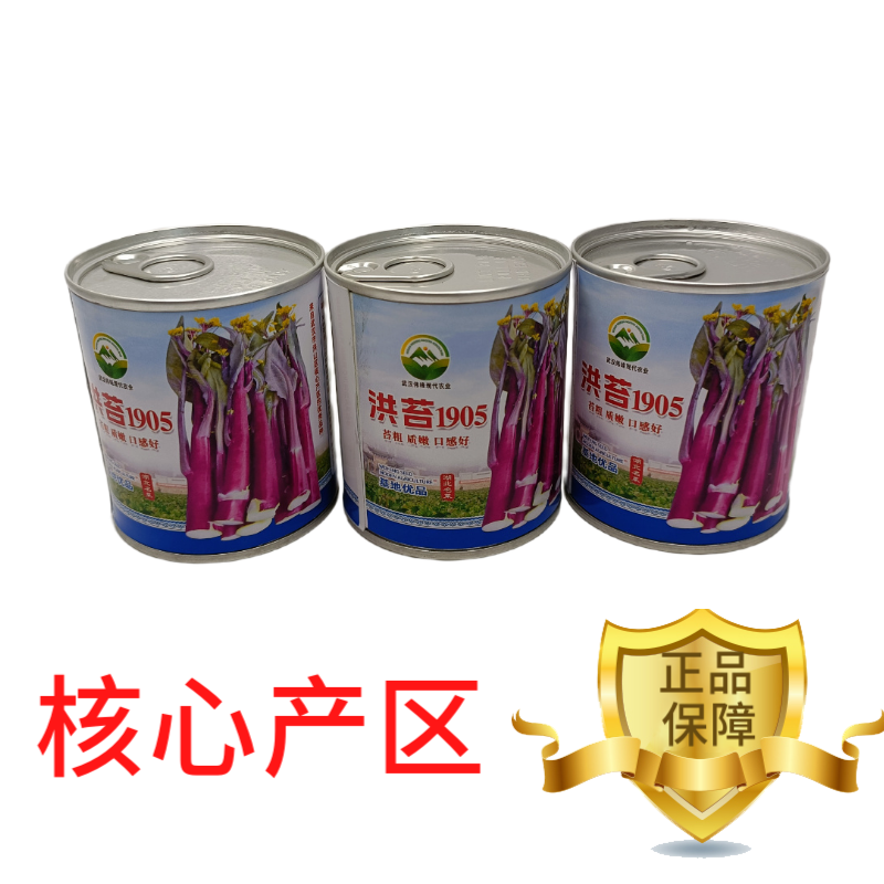【洪苔1905】基地优选正宗湖北武汉洪山菜苔种子粗苔子抗冻抗病
