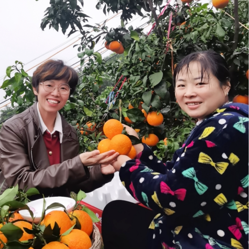 四川爱媛38号果冻橙新鲜现摘应季水果皮薄肉嫩多汁清甜