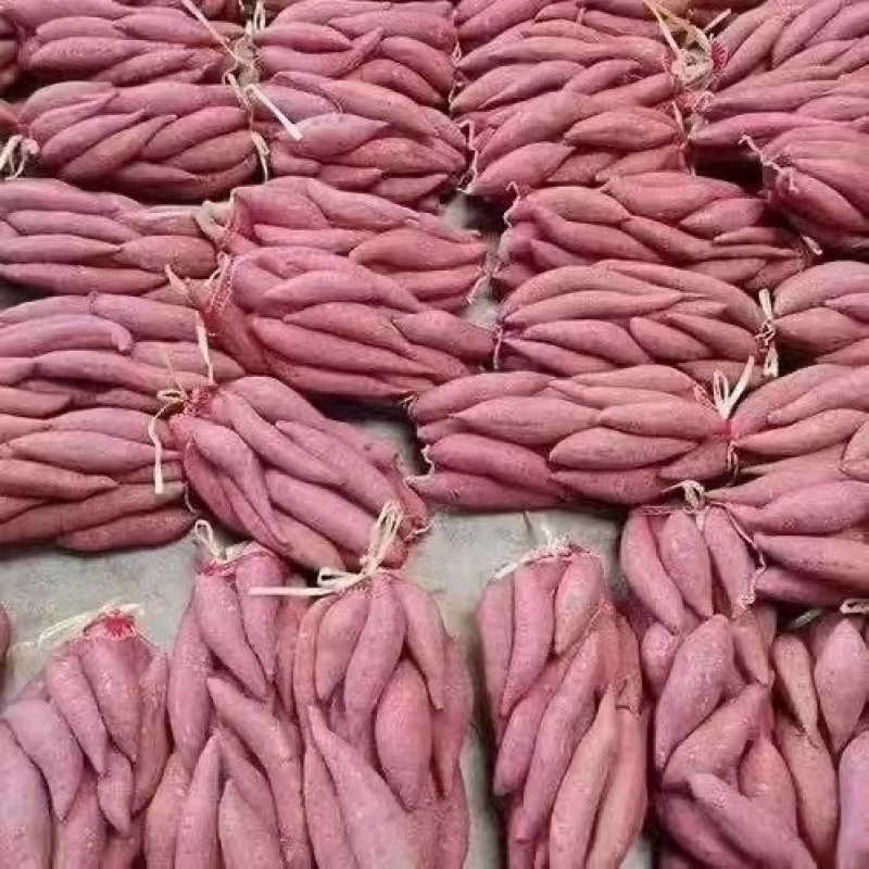 【半价抢】超甜新鲜蜜薯正宗蜜薯黄心板栗薯番薯地瓜蔬菜烟薯