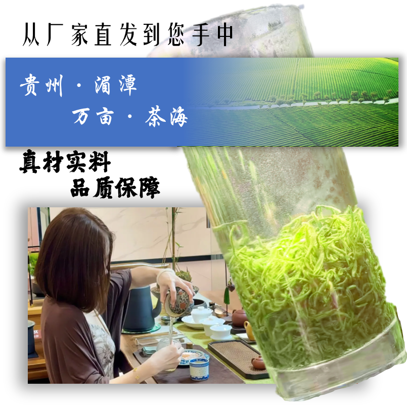 明前新茶绿茶毛尖高山绿茶高品质茶手工采摘直发散装茶口粮茶