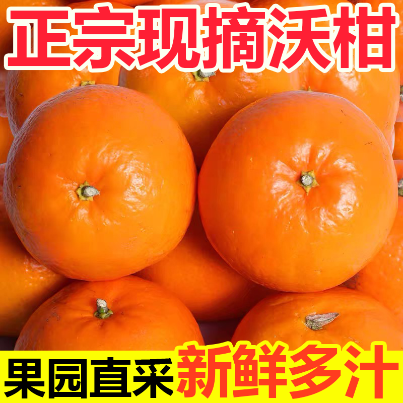 正宗沃柑橘子当季新鲜采摘多汁爽口水果