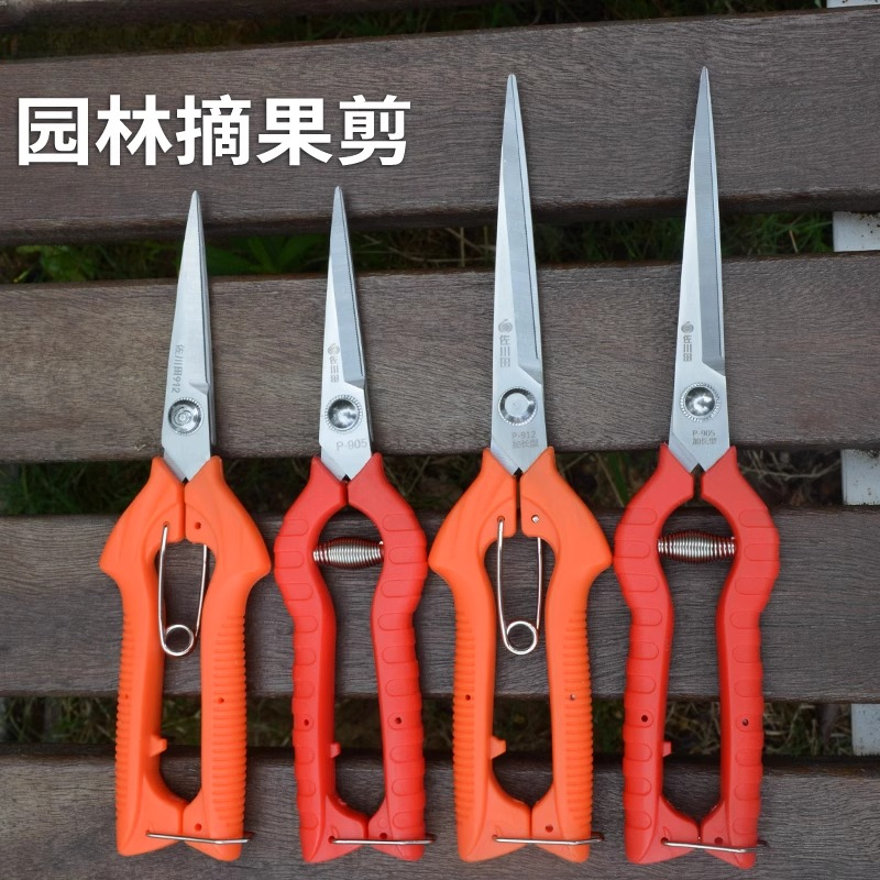 园艺园林果树剪刀修剪树枝盆栽好物家用绿化剪刀枝修剪刀专用工具