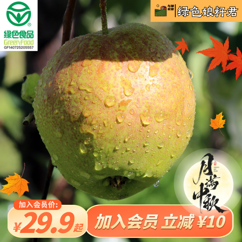 【红脸麻/皇冠--绿色食品·2025年秋季鲜梨】4.5斤以上到手9颗梨