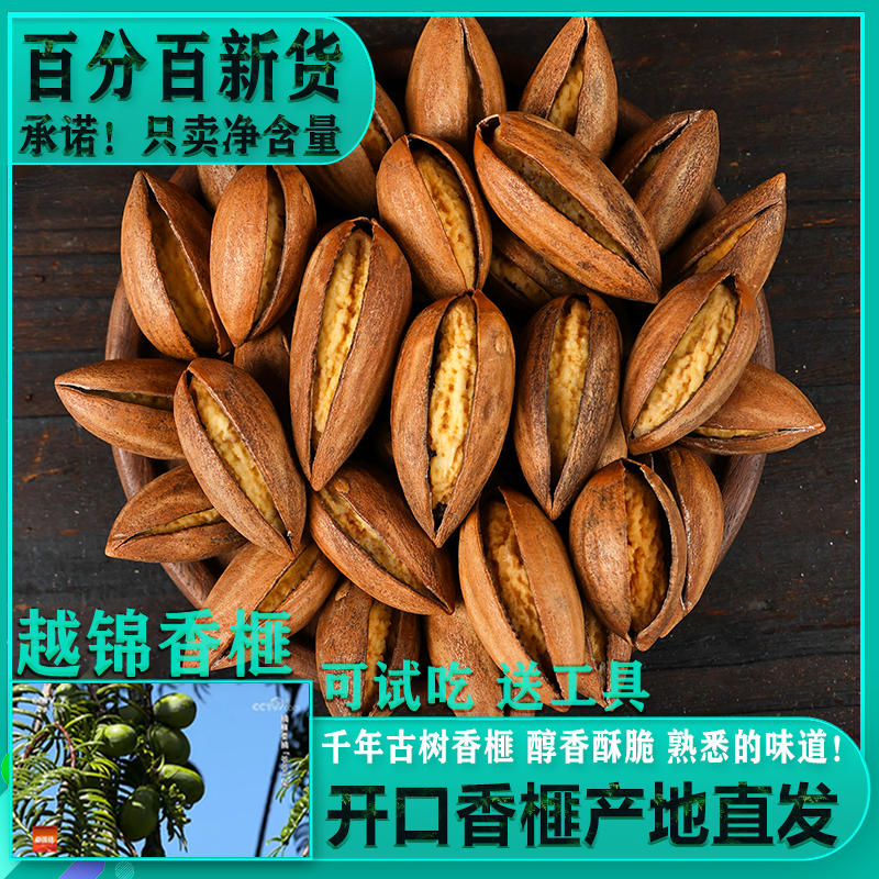 2025新货大开口香榧特好剥越锦当季新鲜现炒老树香榧产地直发坚果