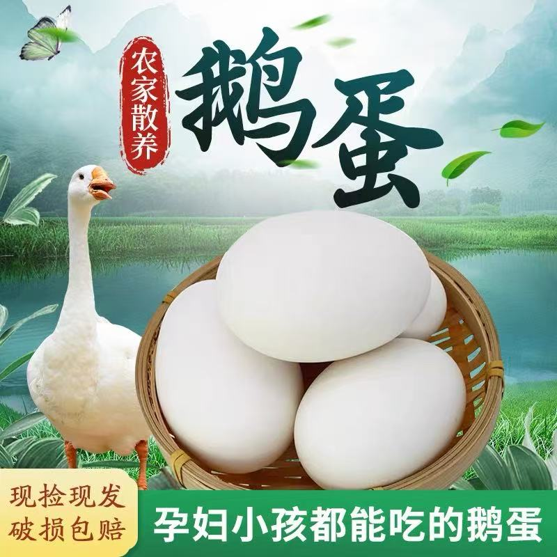 先捡先发新鲜纯天然农家散养鹅蛋孕妇宝宝适用
