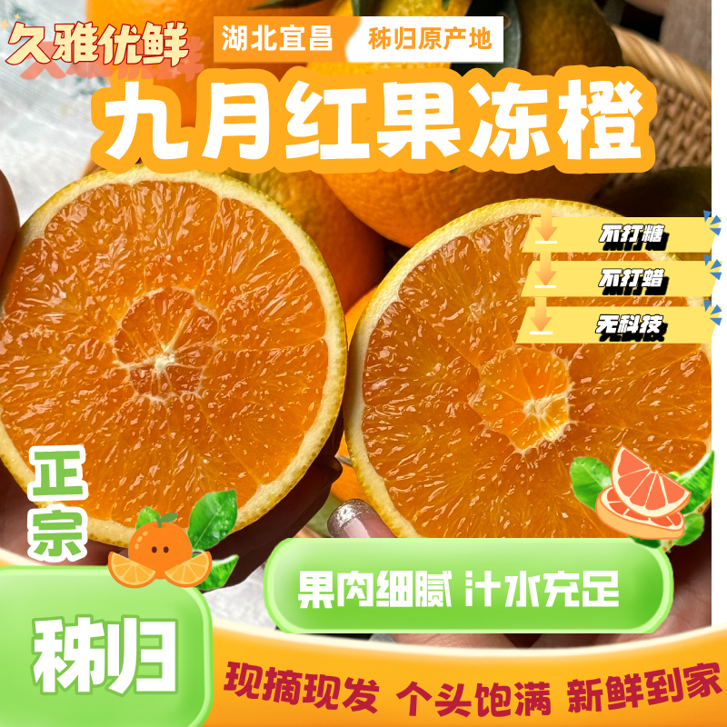 【普通快递】正宗湖北秭归九月红果冻橙脐橙宜昌应季鲜橙爆汁无渣