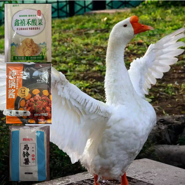 [组合装]农村本地散养笨大鹅  酸菜2斤粉条2斤炖锅酱1袋