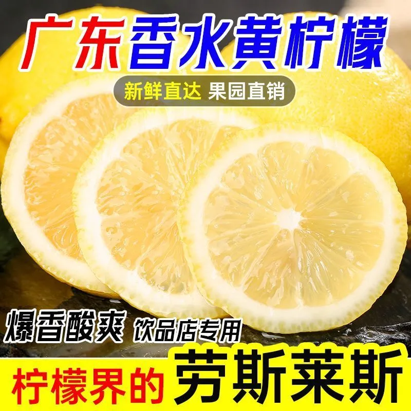 【黄金柠檬】广东无籽一级香水柠檬黄柠檬新鲜柠檬当季奶茶专用