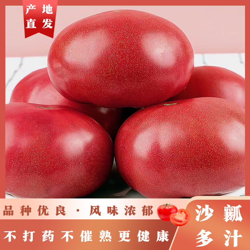 宁夏沙瓤西红柿多汁农家粉果不催熟果味浓郁水果有籽不空心老品种
