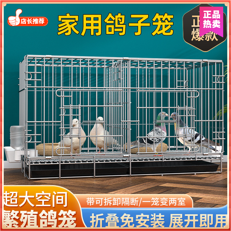 鸽子笼家用养殖笼鸽子大号鸽子笼配对笼家用带隔断繁殖养殖鸽笼清