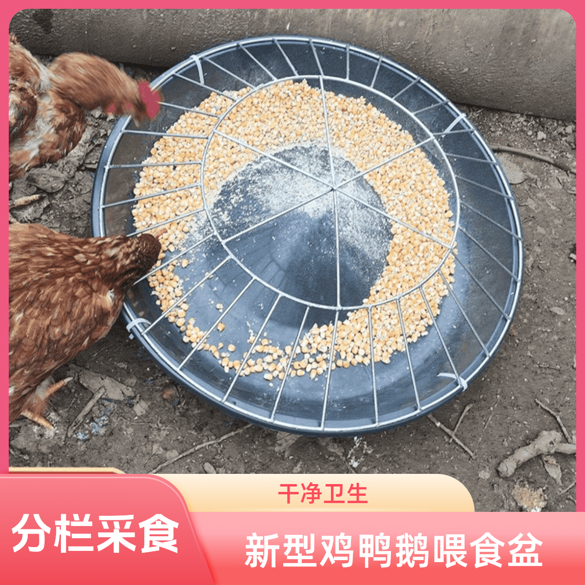 【正品】鸡鸭子喂食神器打不翻鸡鸭鹅饲料盆牛筋盆喂鸡喂鸡食槽神器