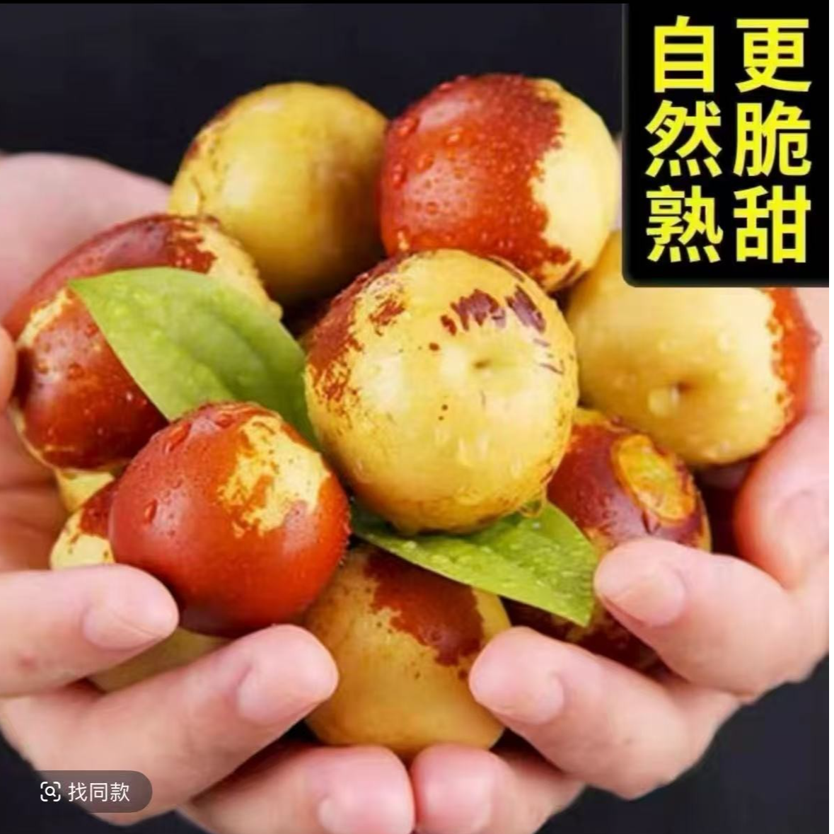 新鲜山东沾化大冬枣现摘新鲜水果应季水果引力