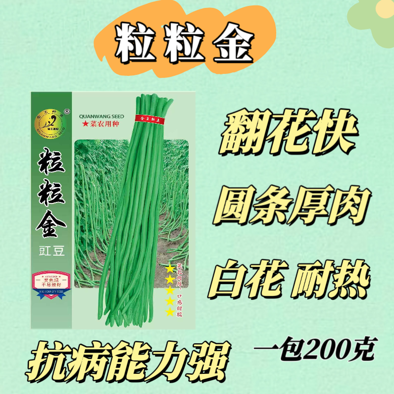 粒粒金豇豆菜籽蔬菜种子翠绿耐高温条长80到90公分抗病高产不鼠尾