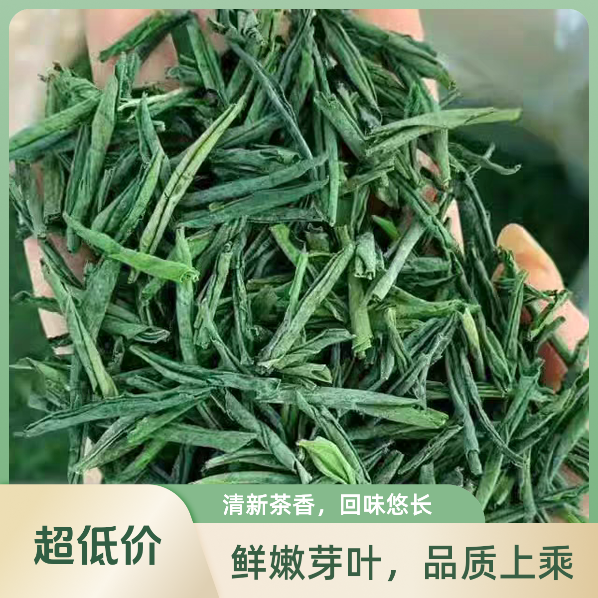 25年新茶，雨前六安瓜片，口感醇厚，茶汤浓！
