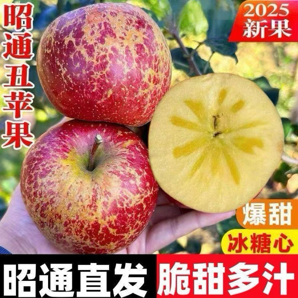 云南正宗应季红苹果昭通冰糖心丑苹果新鲜脆甜水果老树产地直发