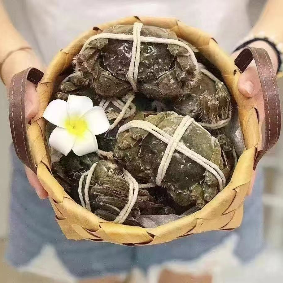 【活蟹】兴化红膏蟹母蟹1.8两-1.5两8只送2只共10只
