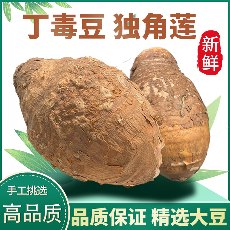 【东北新鲜独角莲丁毒豆】农家种植个头精选饱满坏了包赔包换