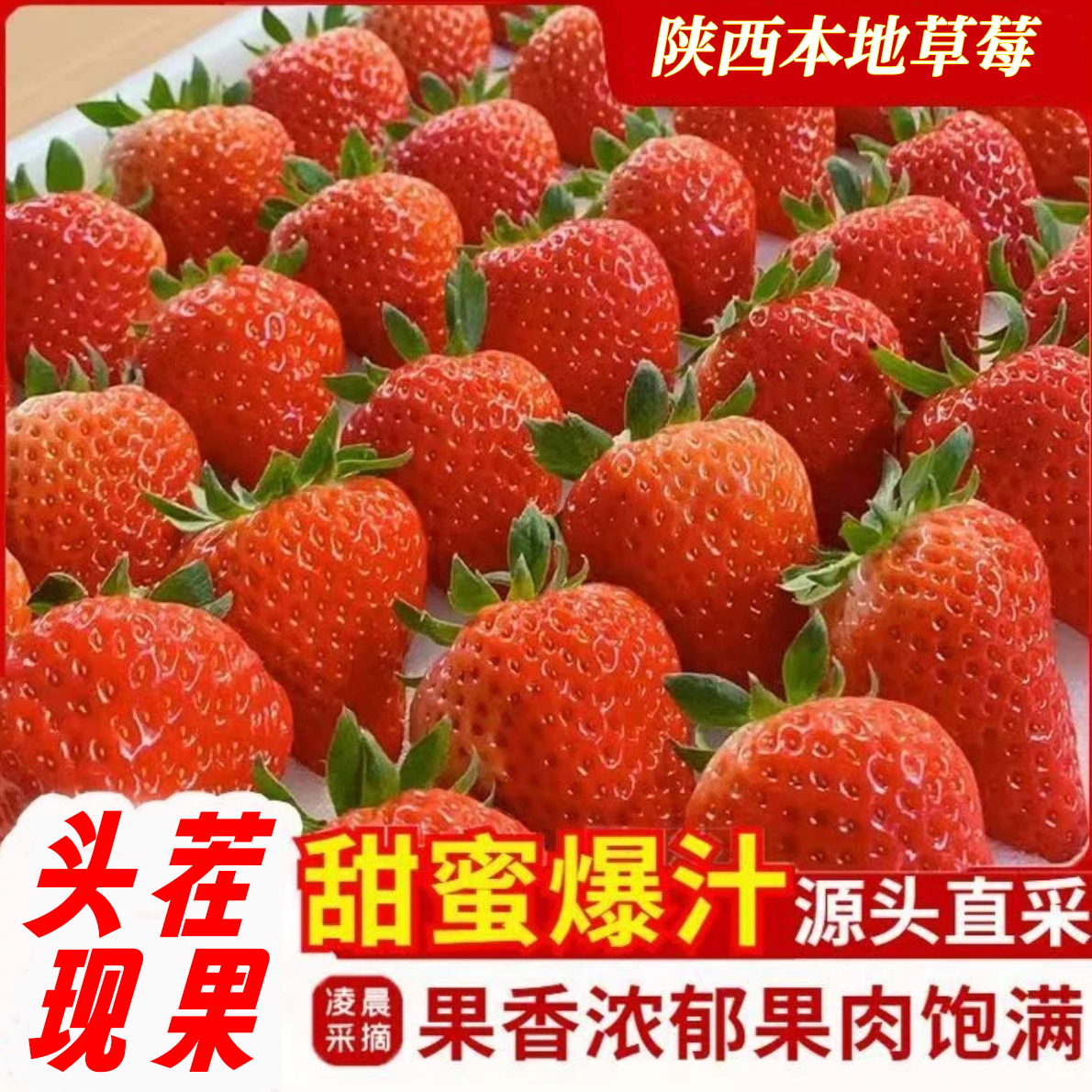 【京东包邮  】正宗红颜草莓巧克力草莓 陕西鄠邑源头产地现摘现发