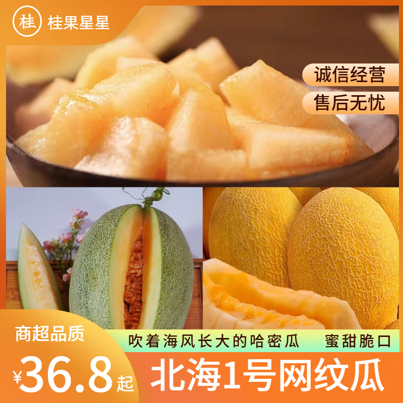 【蜜甜肉脆】正宗北海1号网纹哈密瓜 脆甜爽口多汁 新鲜产地直发