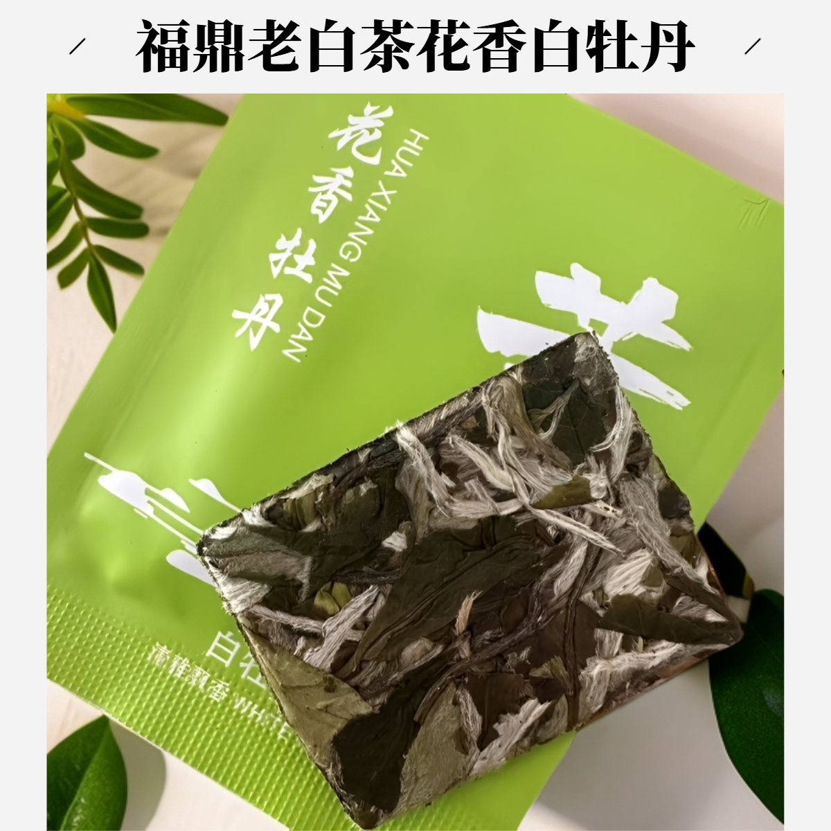 福鼎老白茶白牡丹2025年茶饼花香白牡丹高山明前饼干茶茶叶袋装
