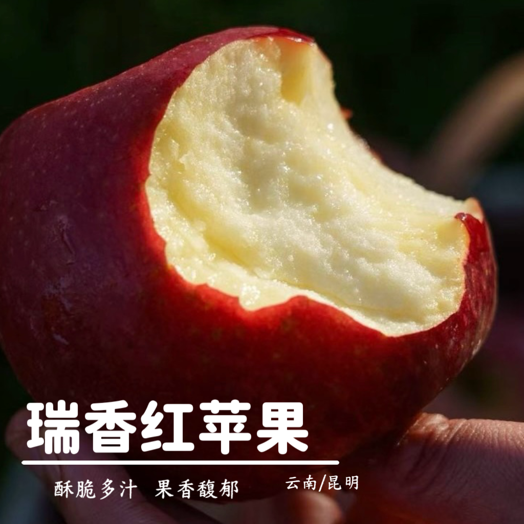 【顺丰包邮】云南瑞香红苹果酥脆多汁果香浓郁新鲜采摘应季水果
