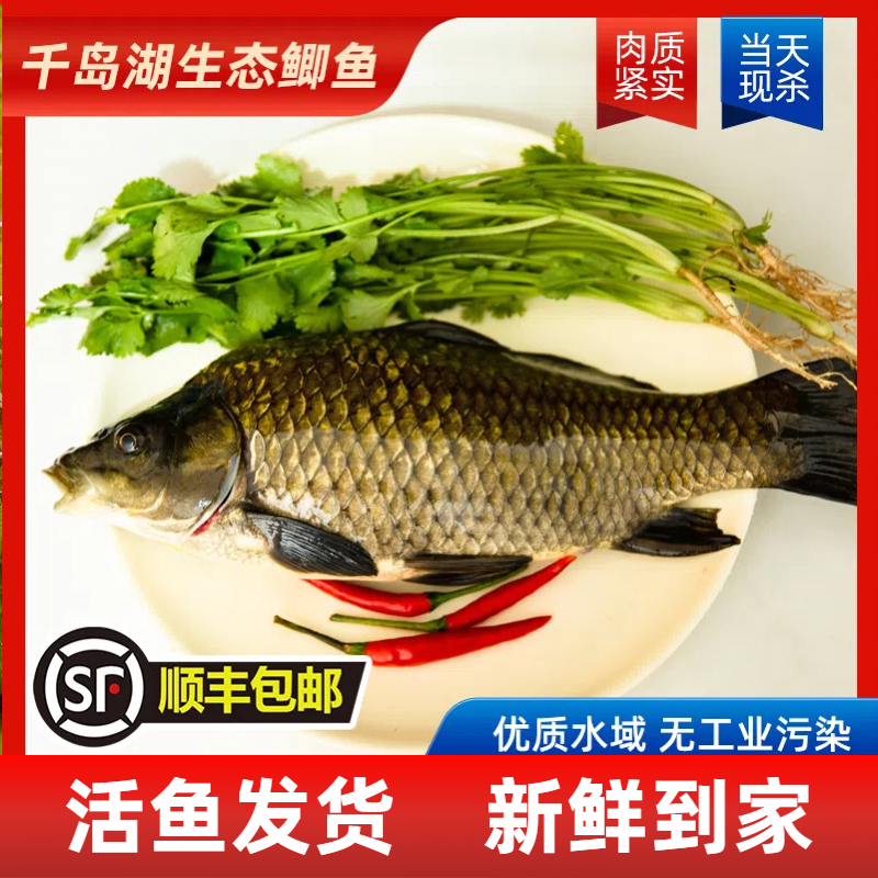【活鱼】千岛湖黄金鲫鱼鲜嫩无泥腥味煲汤鱼老人小孩孕妈妈顺丰到家