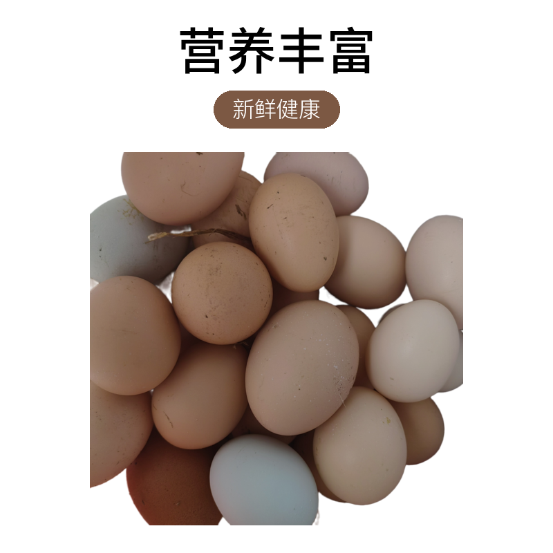 农户散养土鸡蛋正宗玉米谷物喂养新鲜健康营养丰富【顺丰包邮】