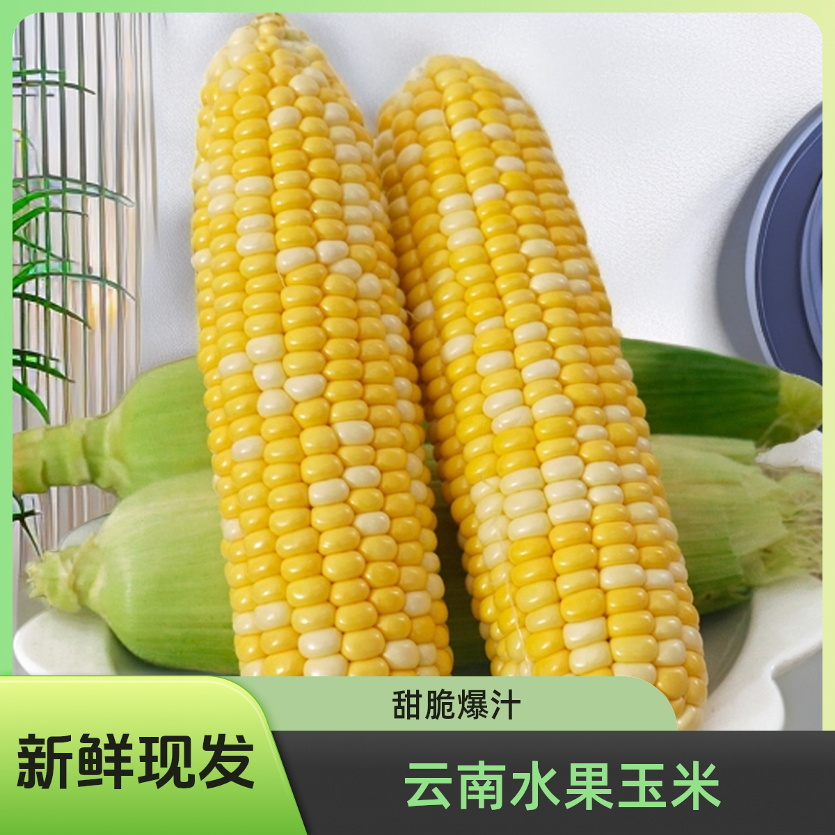 【精品玉米】新鲜爆汁脆嫩鲜食玉米低脂代餐云南金银双色甜水果玉米