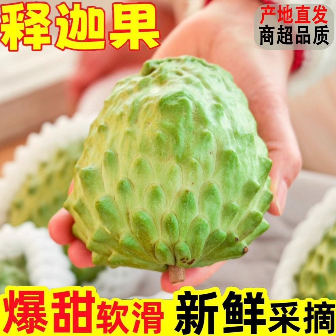 新鲜现摘凤梨释迦果番荔枝牛奶释迦摩尼果