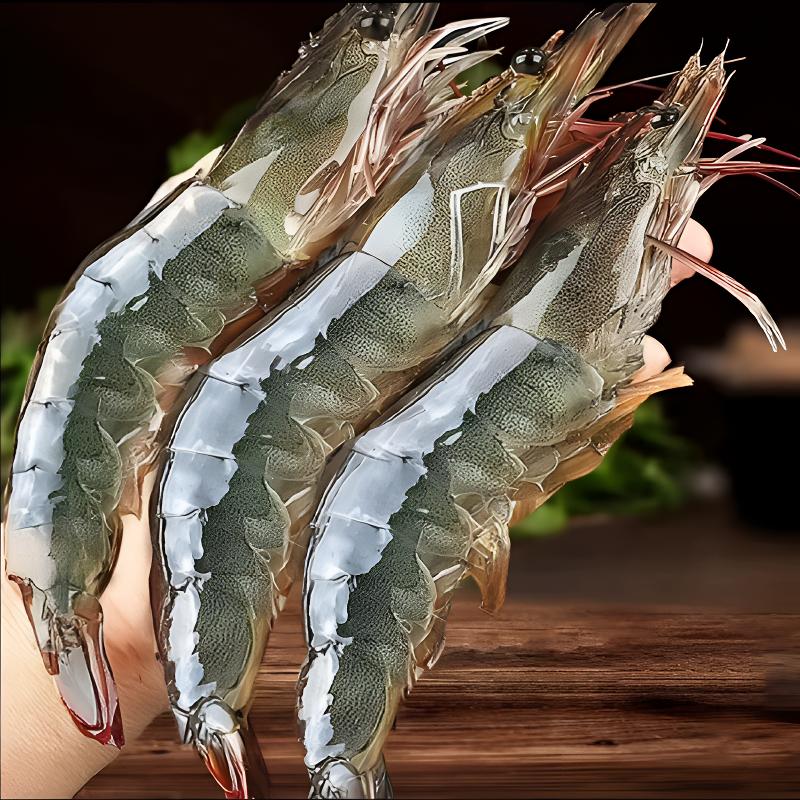 （青岛）2030海虾18-19cm三斤 拍两份减5 顺丰发货