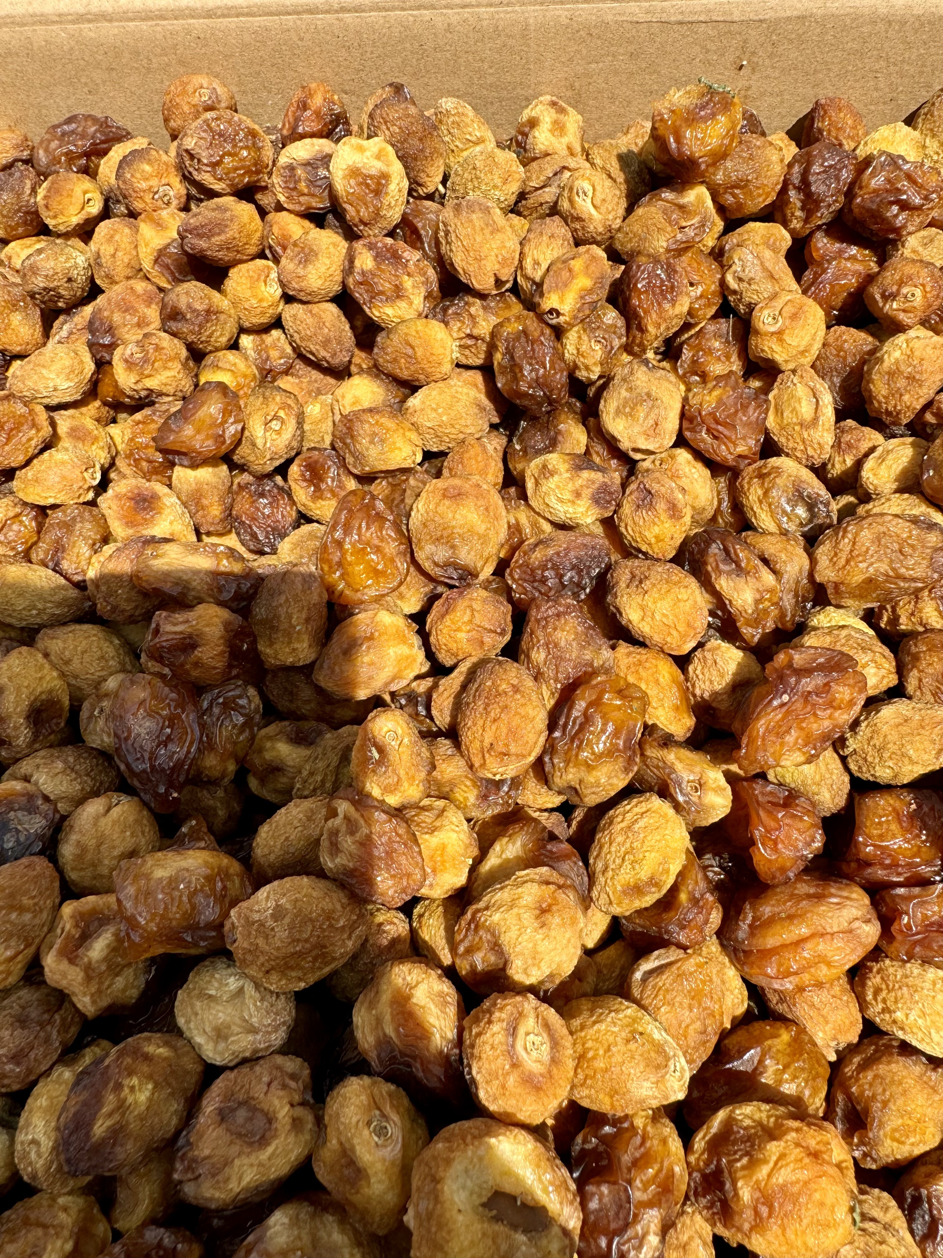 轮台小白杏干 Bugur keki